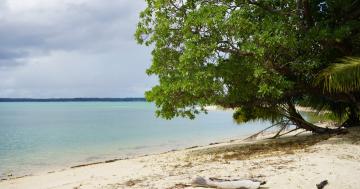 Made a stop in Ujir Kecil Island on the way back to Dobo