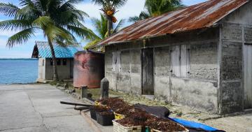The village is also known for its algae production