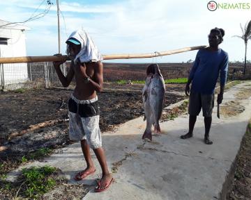 People caught these big fish from the sea surrounding Batu Goyang Village, which is rich in marine products.